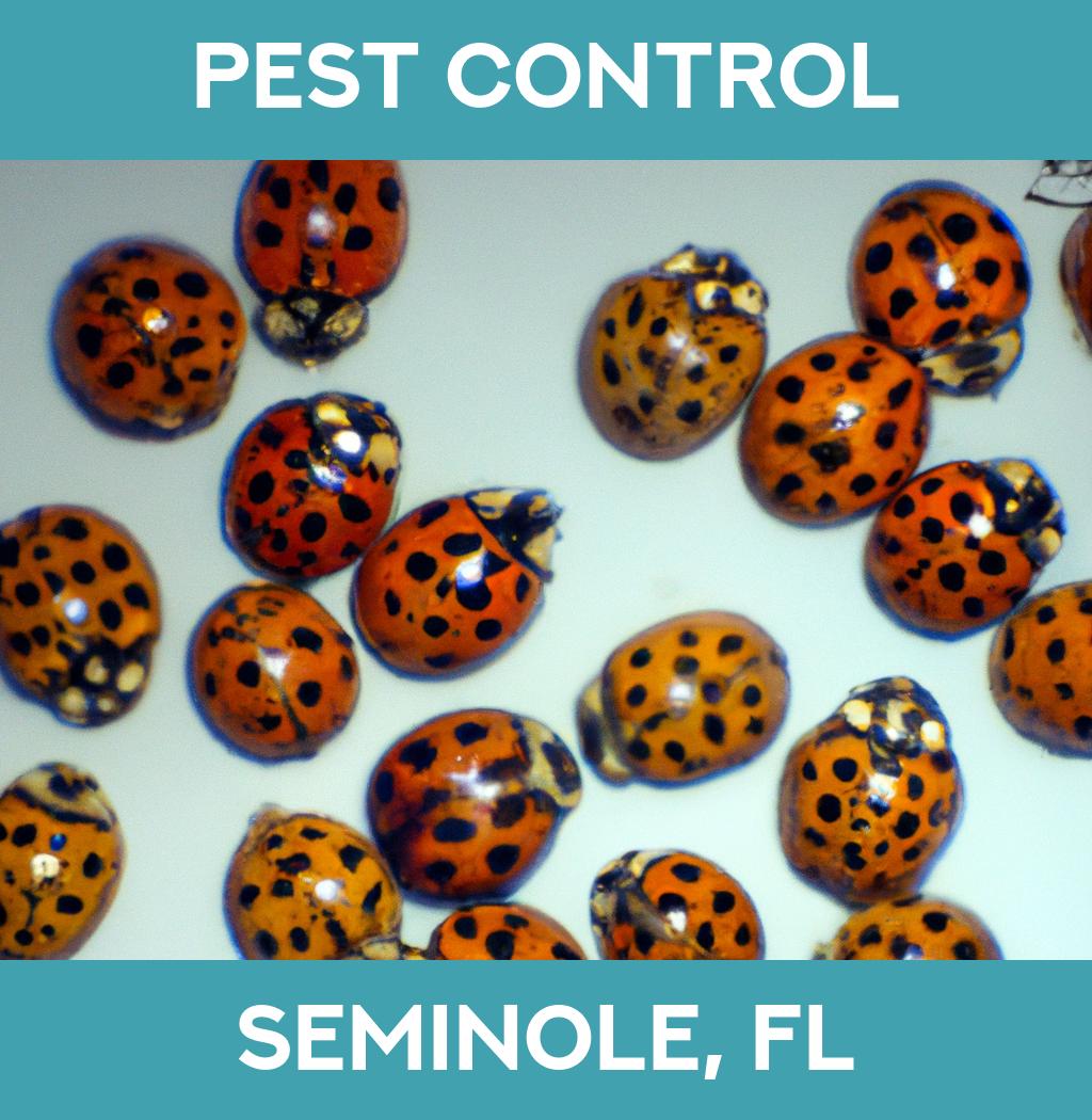 pest control in Seminole Florida