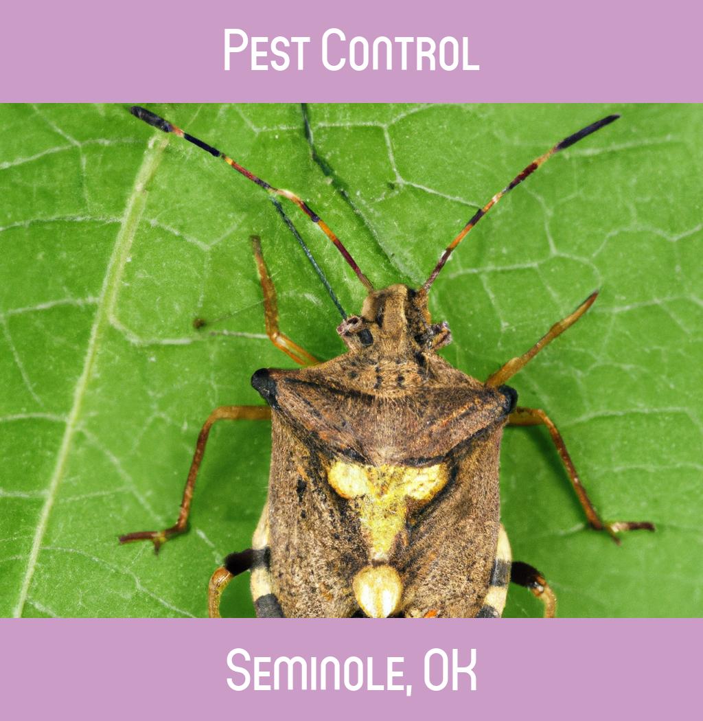 pest control in Seminole Oklahoma