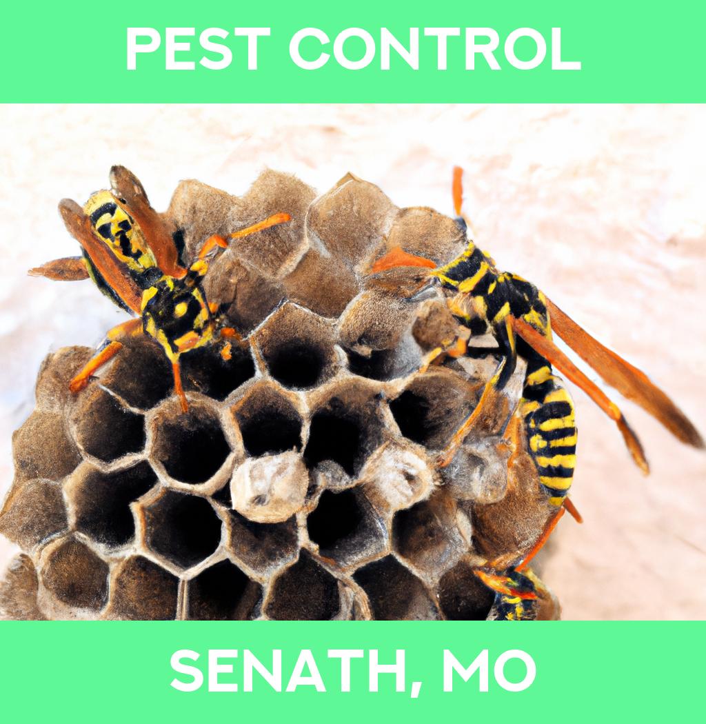 pest control in Senath Missouri