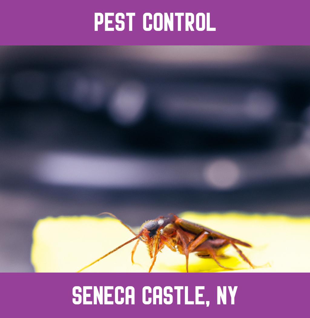 pest control in Seneca Castle New York