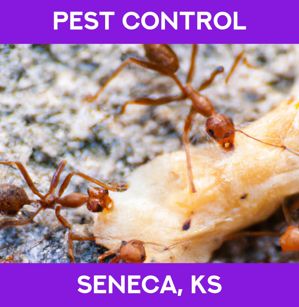 pest control in Seneca Kansas