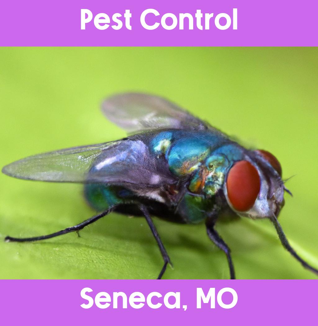 pest control in Seneca Missouri