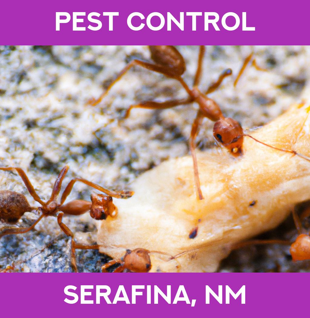 pest control in Serafina New Mexico