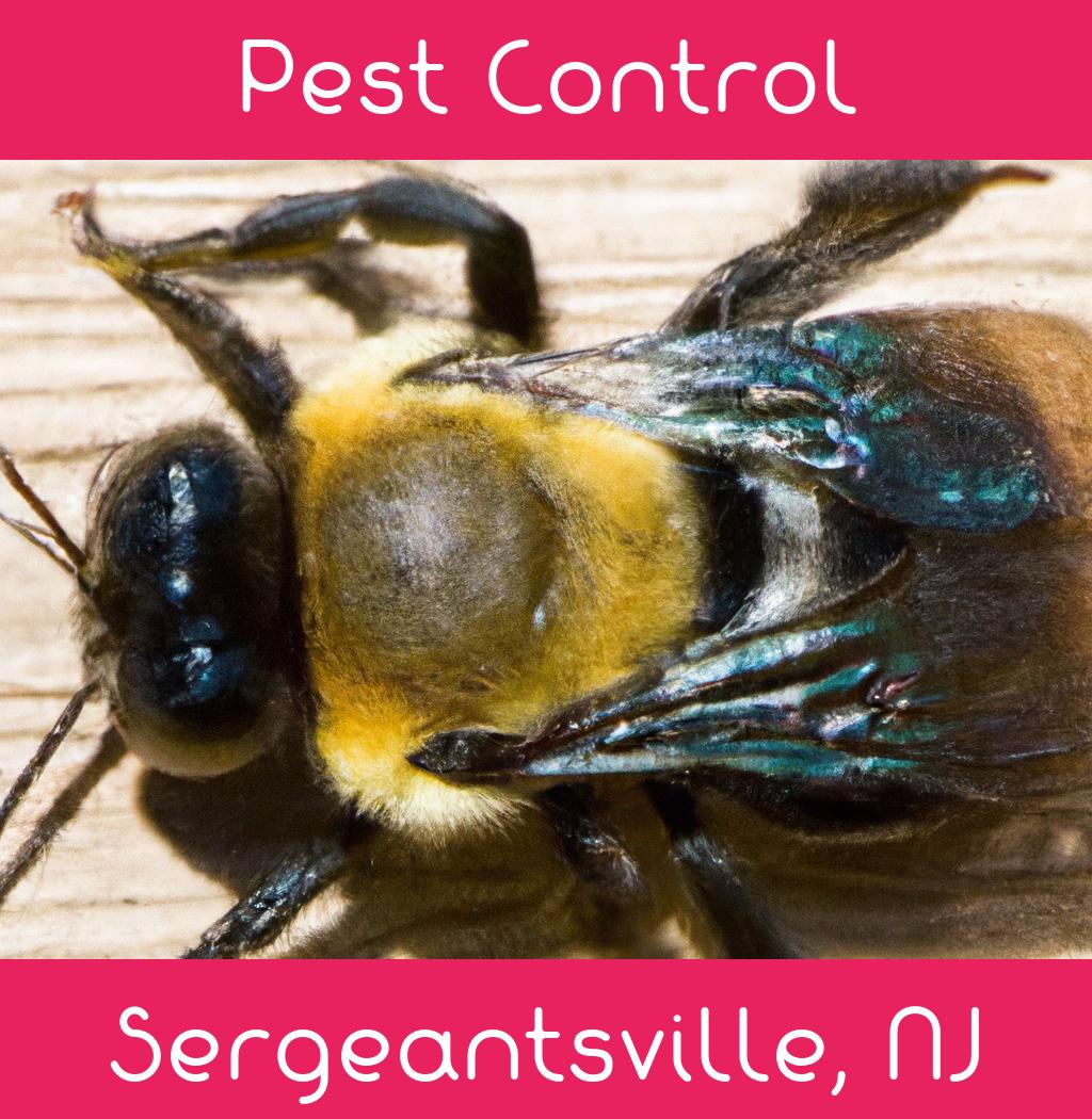 pest control in Sergeantsville New Jersey