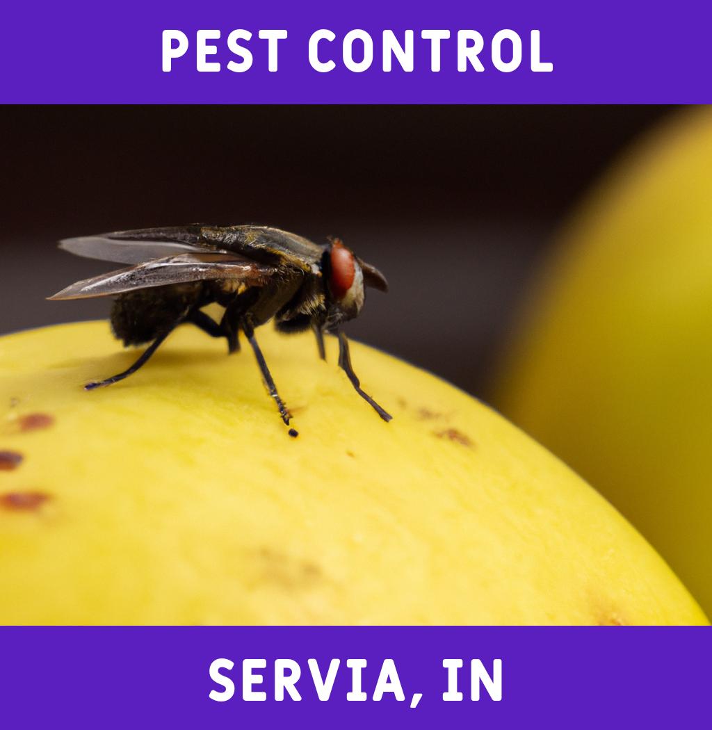 pest control in Servia Indiana