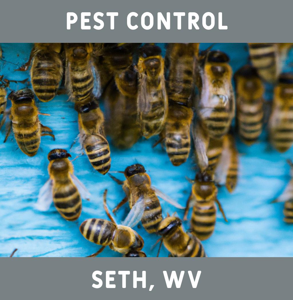 pest control in Seth West Virginia