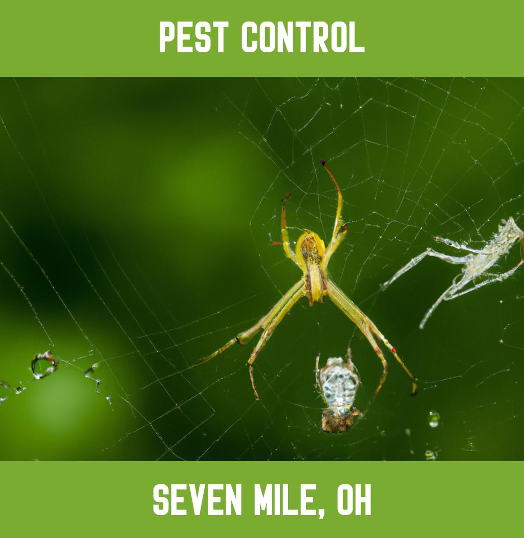 pest control in Seven Mile Ohio