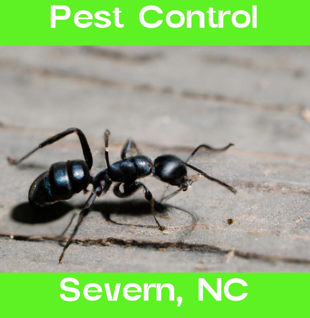 pest control in Severn North Carolina