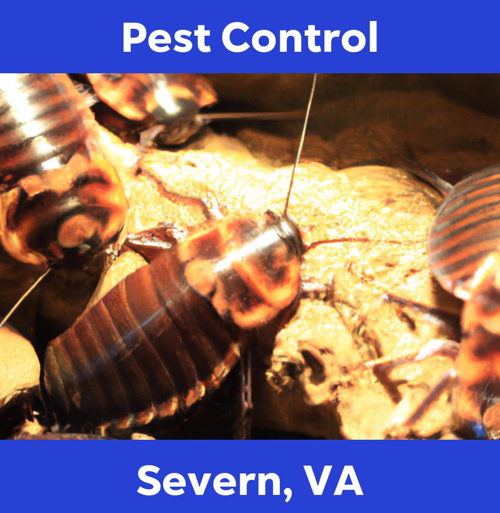 pest control in Severn Virginia