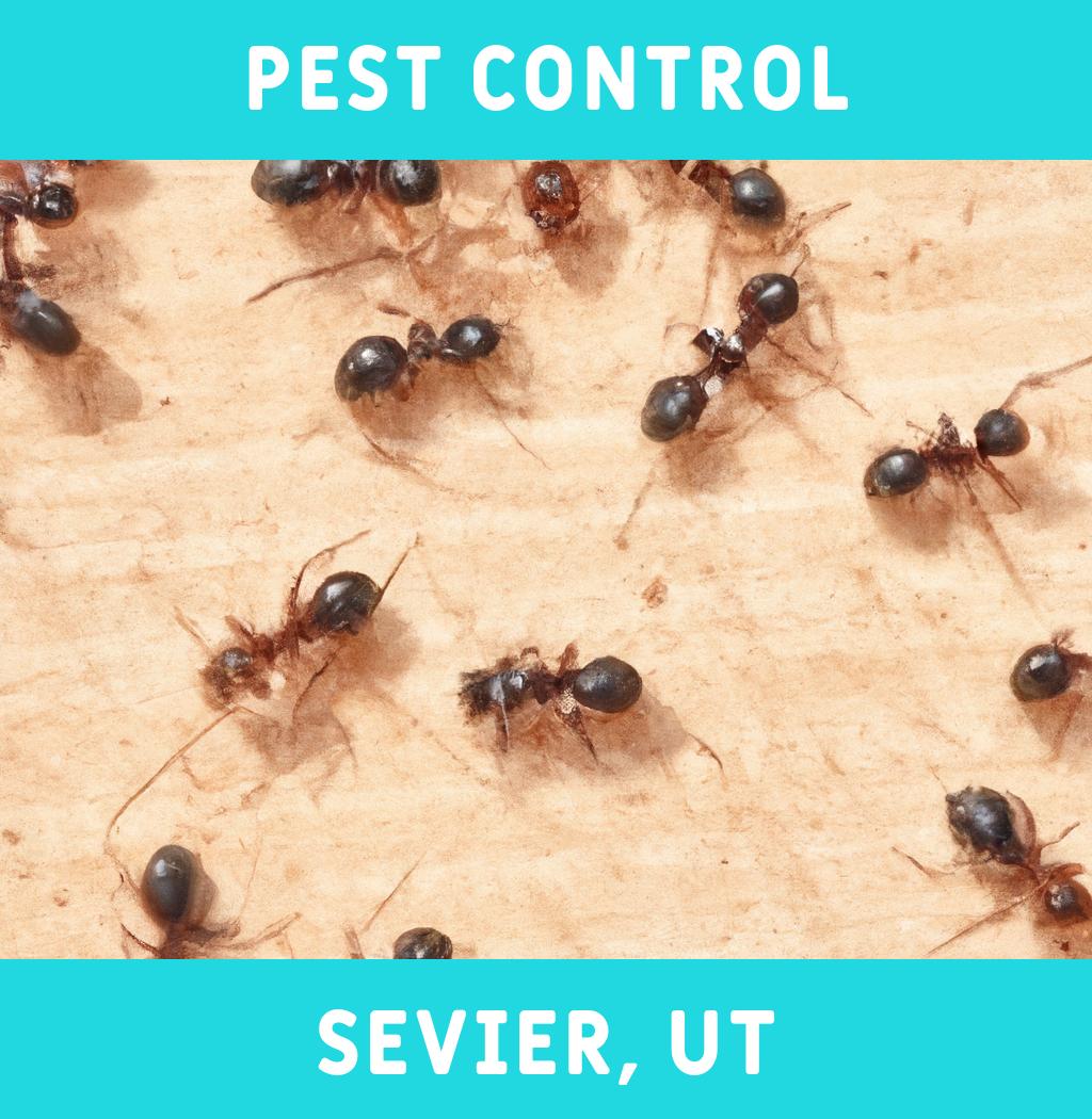 pest control in Sevier Utah
