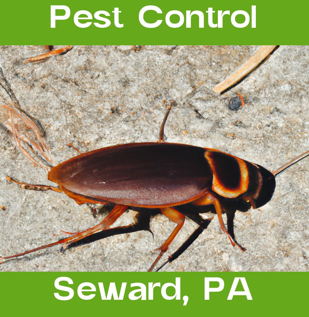 pest control in Seward Pennsylvania
