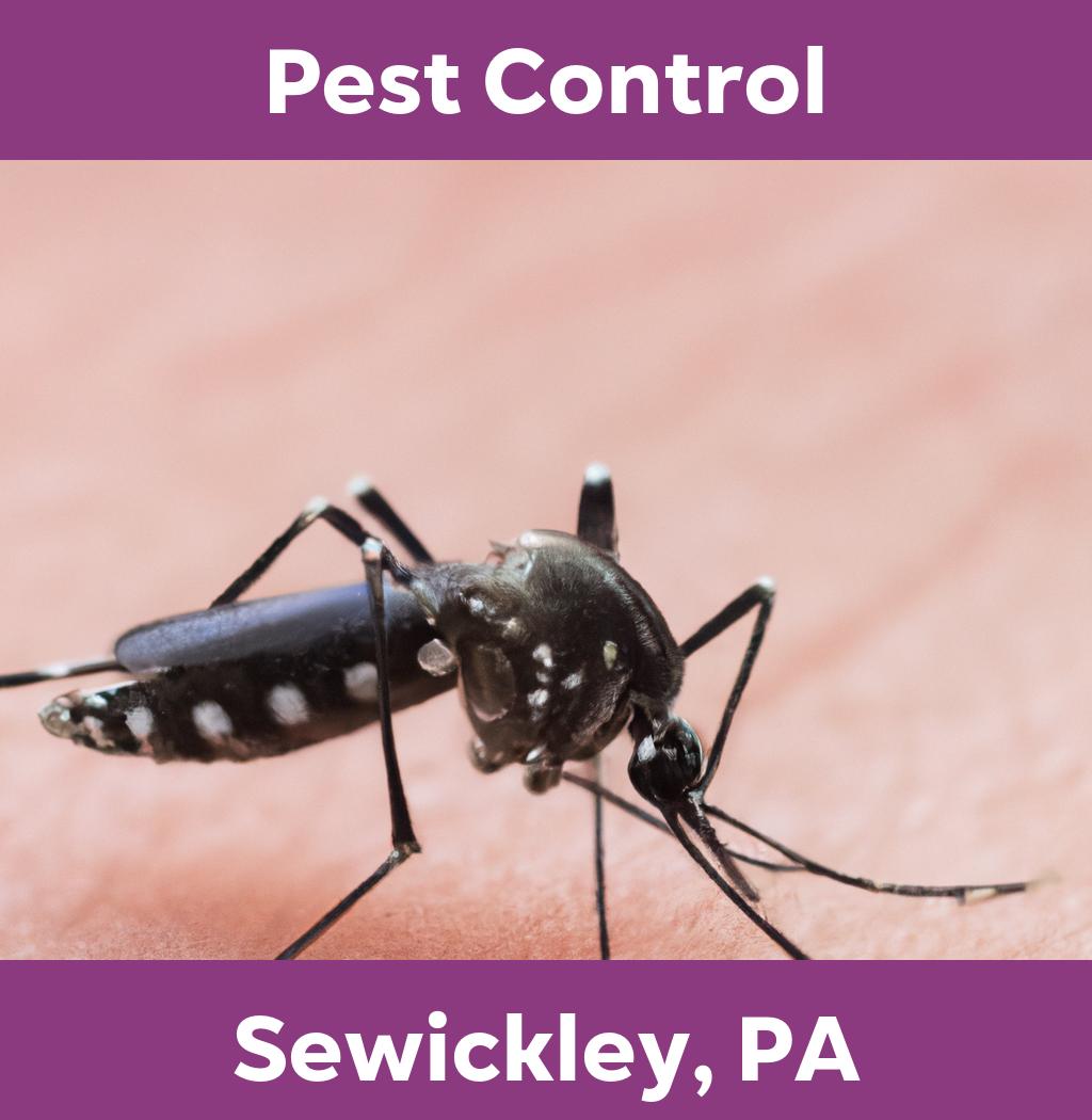 pest control in Sewickley Pennsylvania