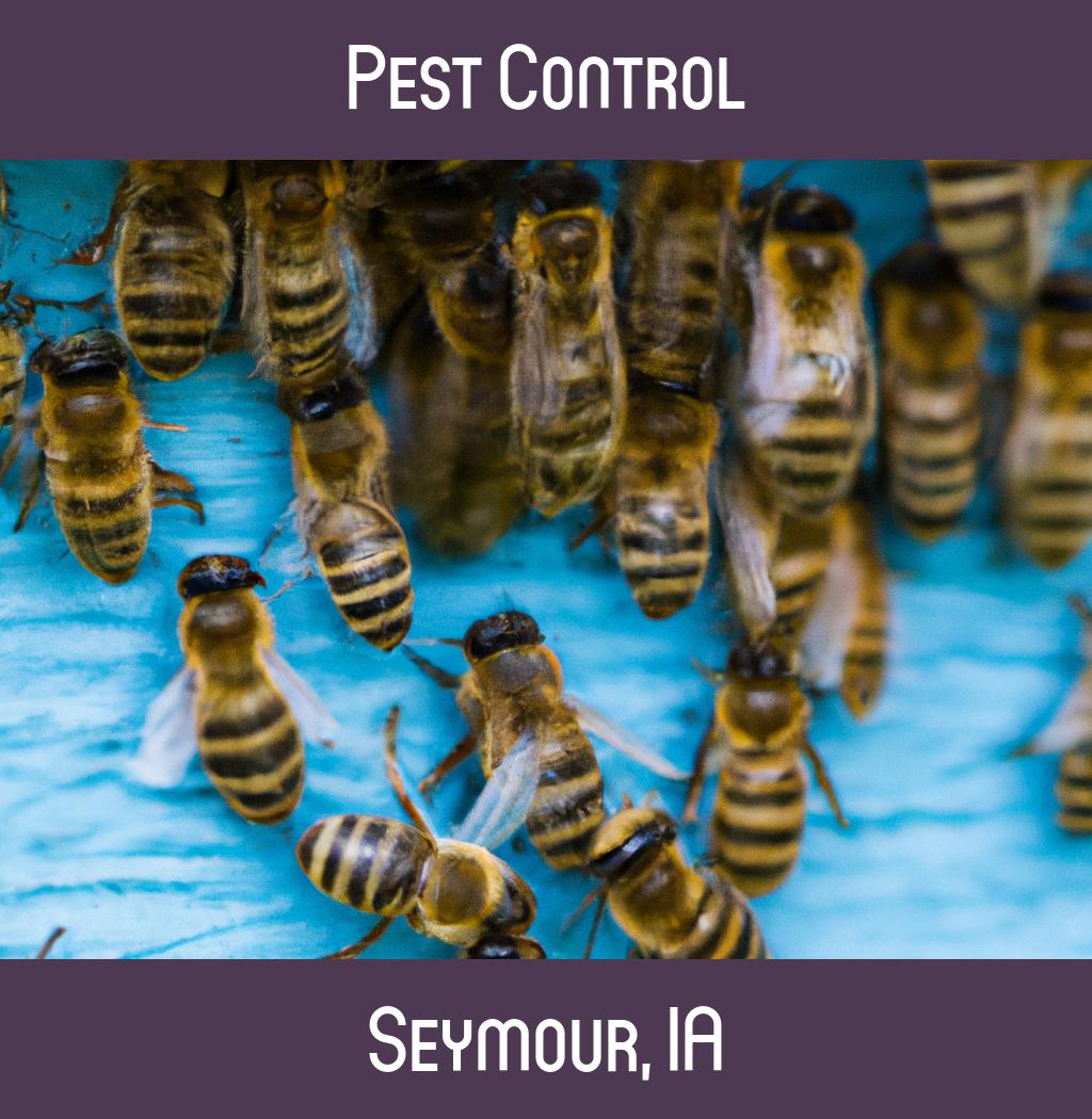 pest control in Seymour Iowa