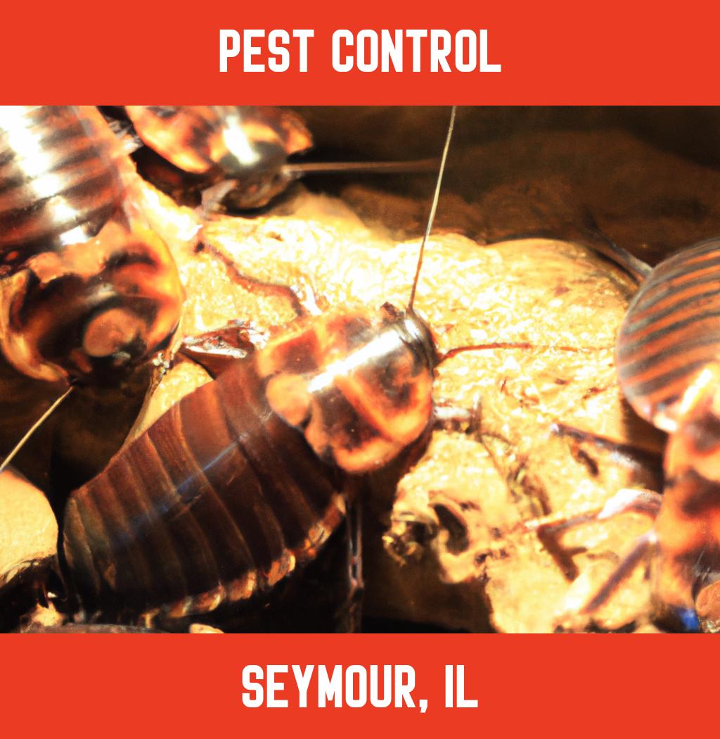 pest control in Seymour Illinois