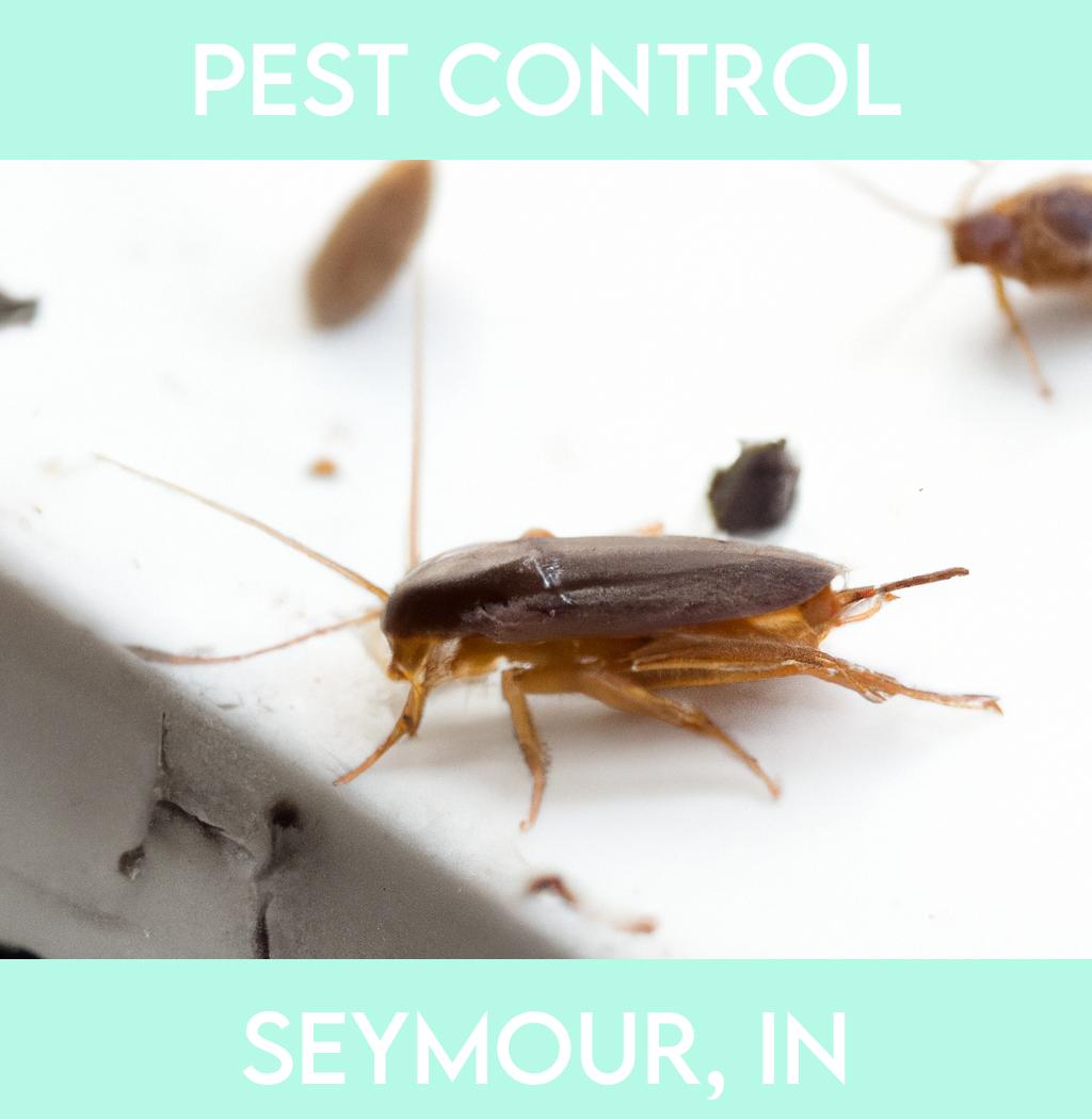 pest control in Seymour Indiana