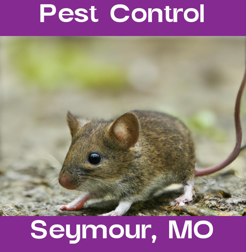 pest control in Seymour Missouri