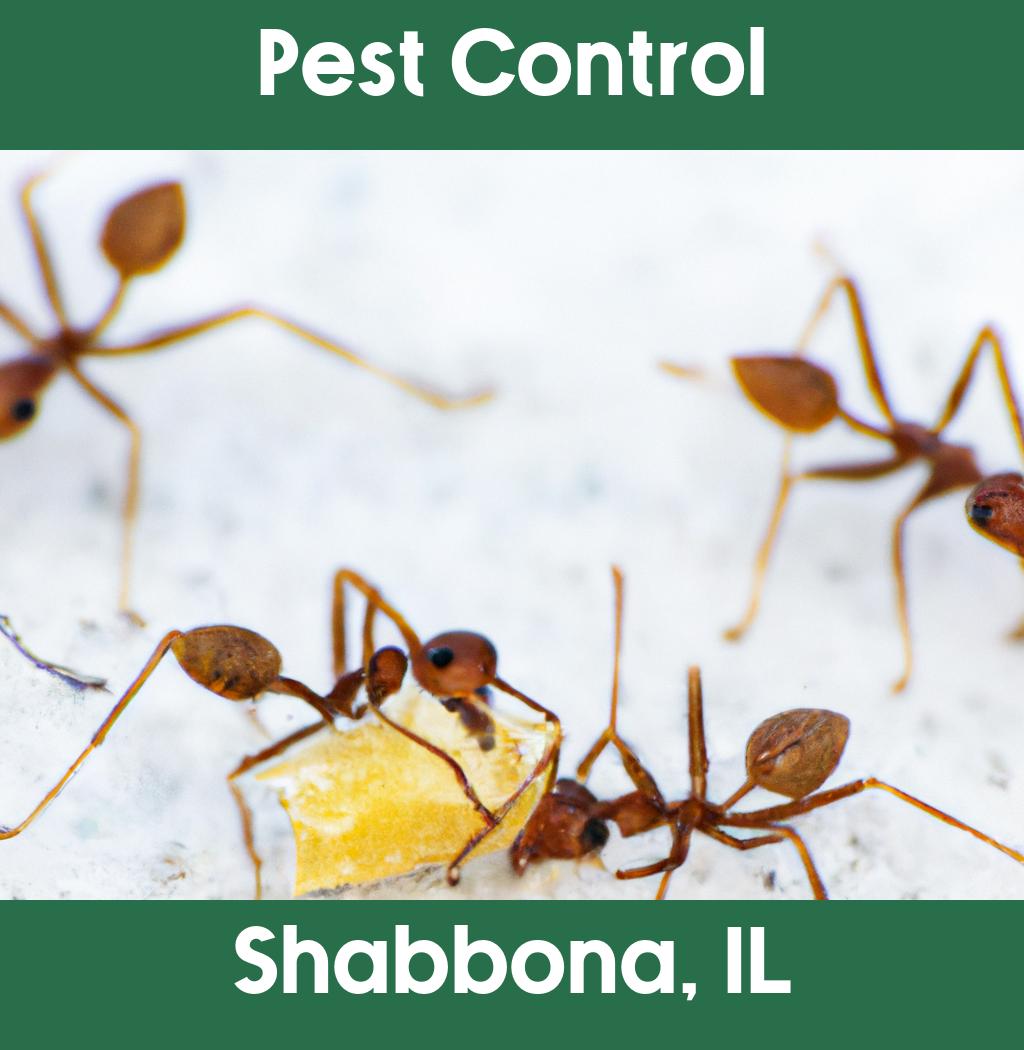 pest control in Shabbona Illinois