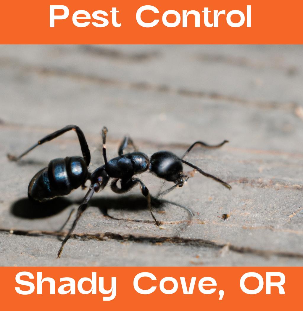 pest control in Shady Cove Oregon