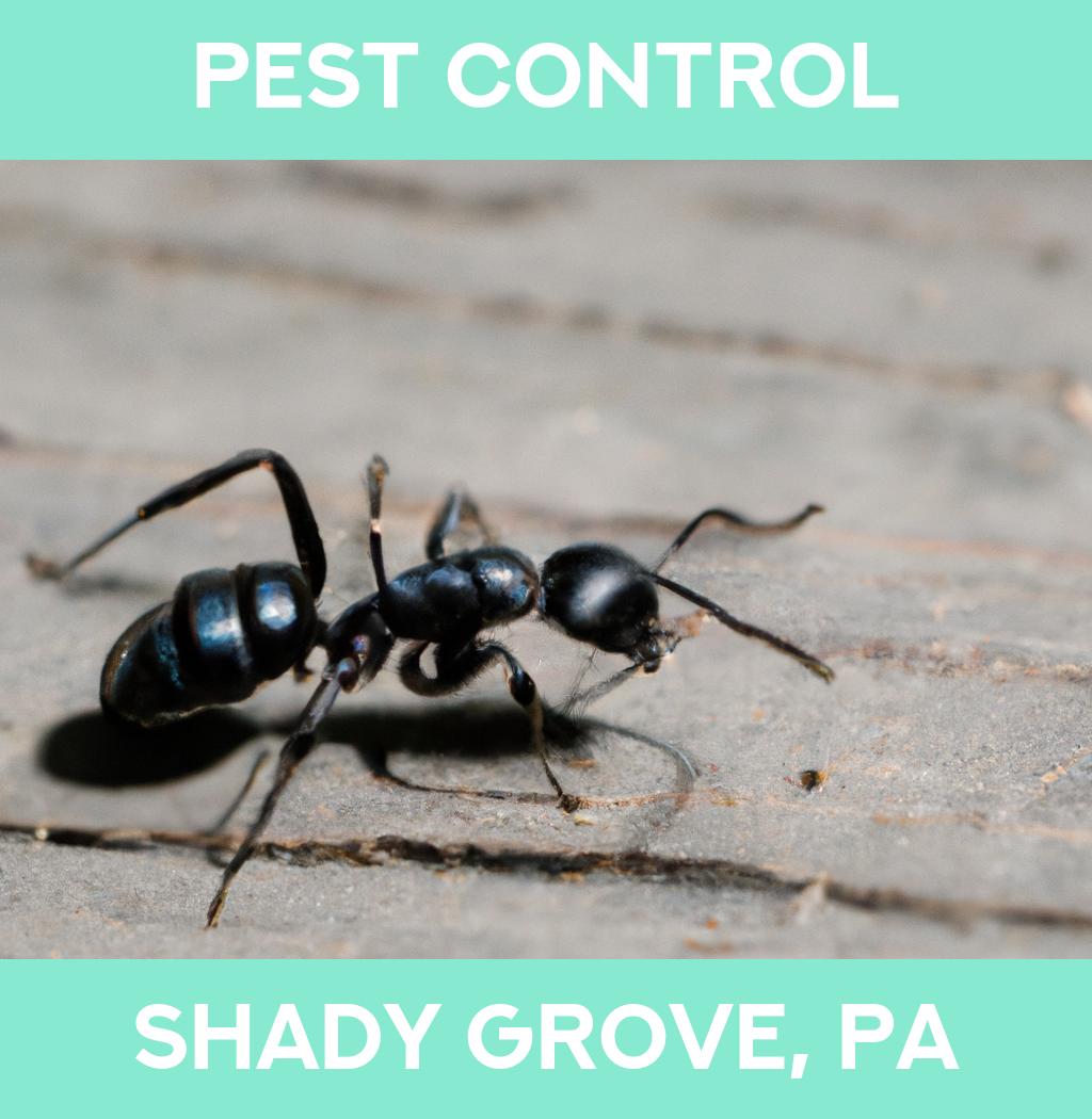 pest control in Shady Grove Pennsylvania