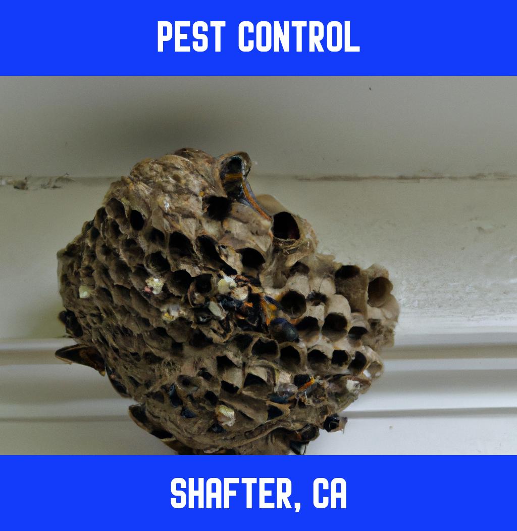 pest control in Shafter California