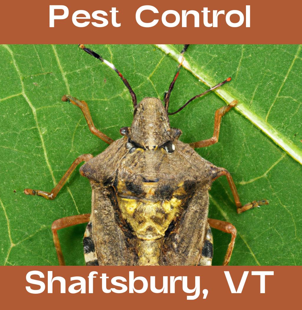 pest control in Shaftsbury Vermont