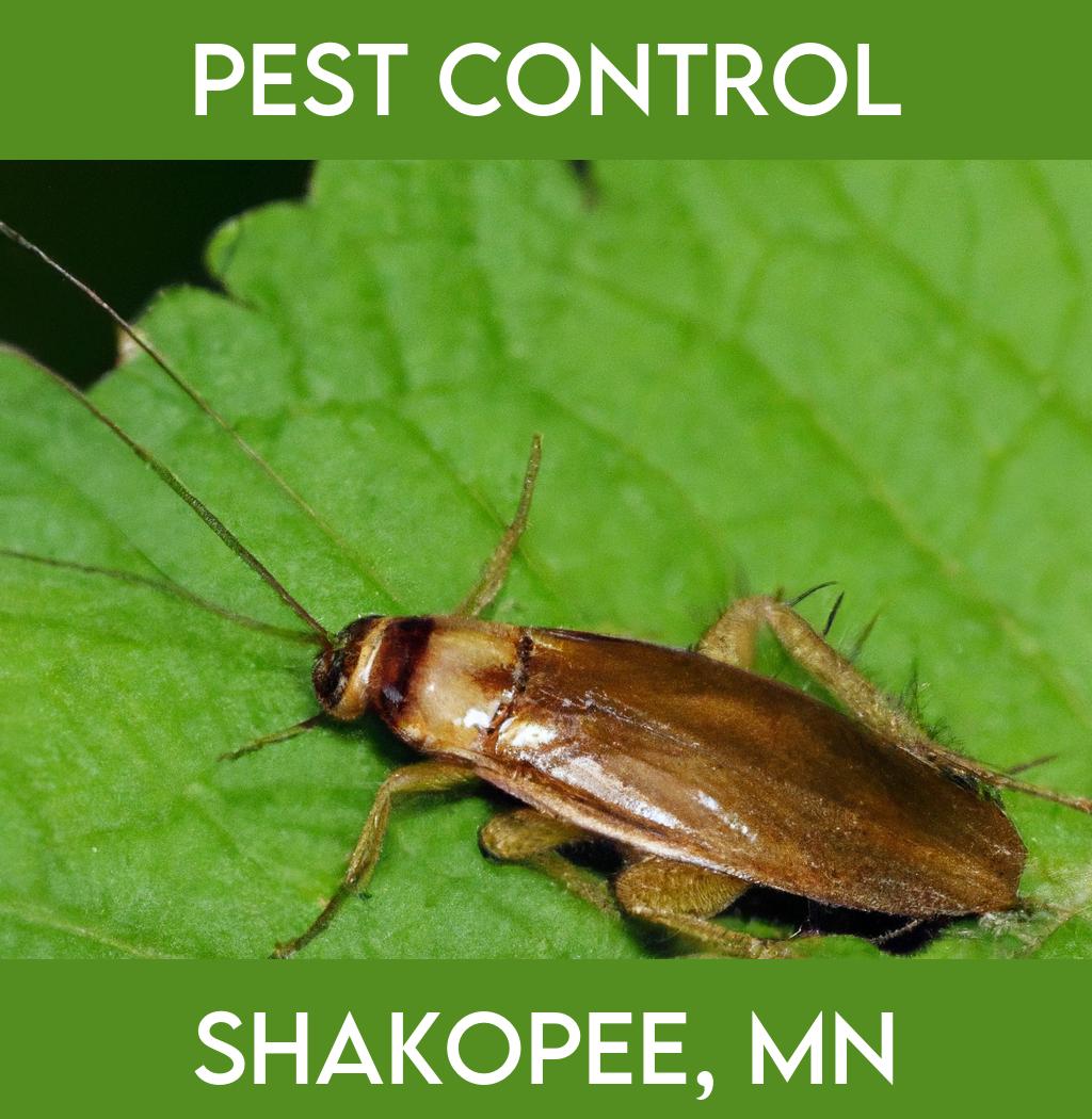 pest control in Shakopee Minnesota