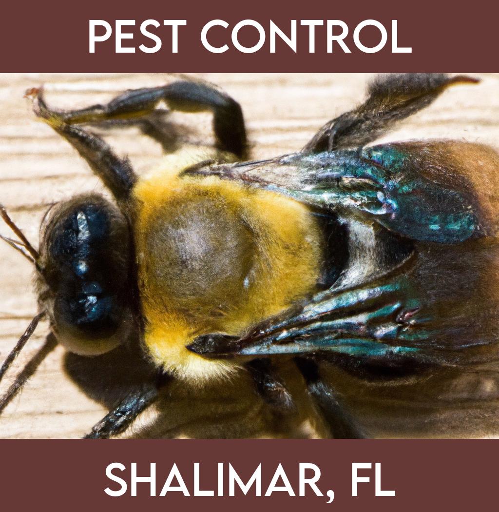 pest control in Shalimar Florida