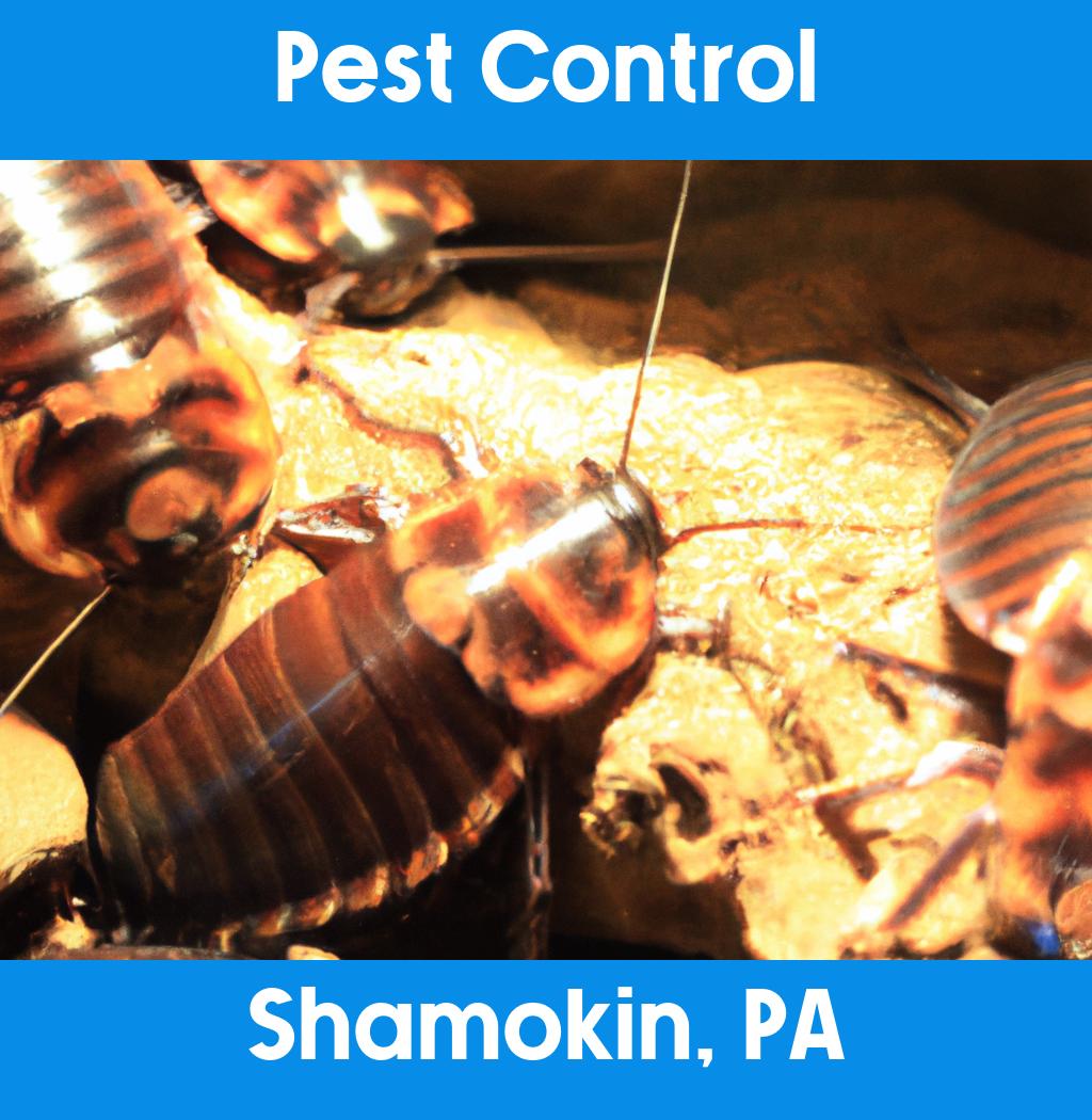pest control in Shamokin Pennsylvania