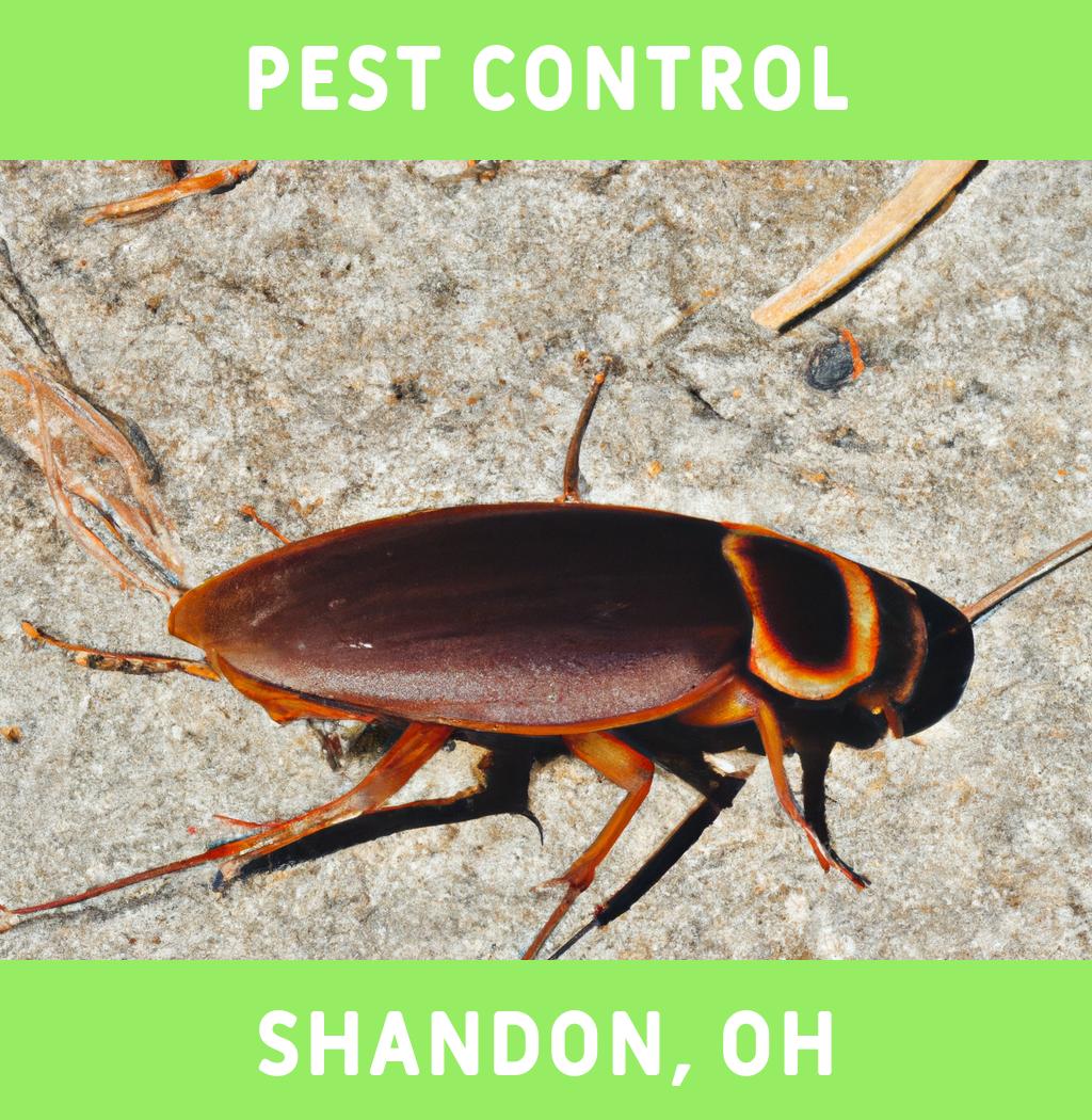 pest control in Shandon Ohio