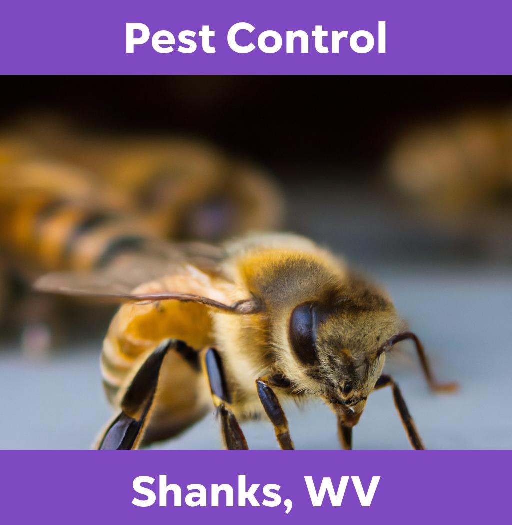 pest control in Shanks West Virginia