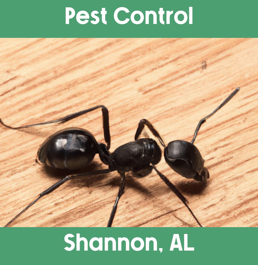 pest control in Shannon Alabama