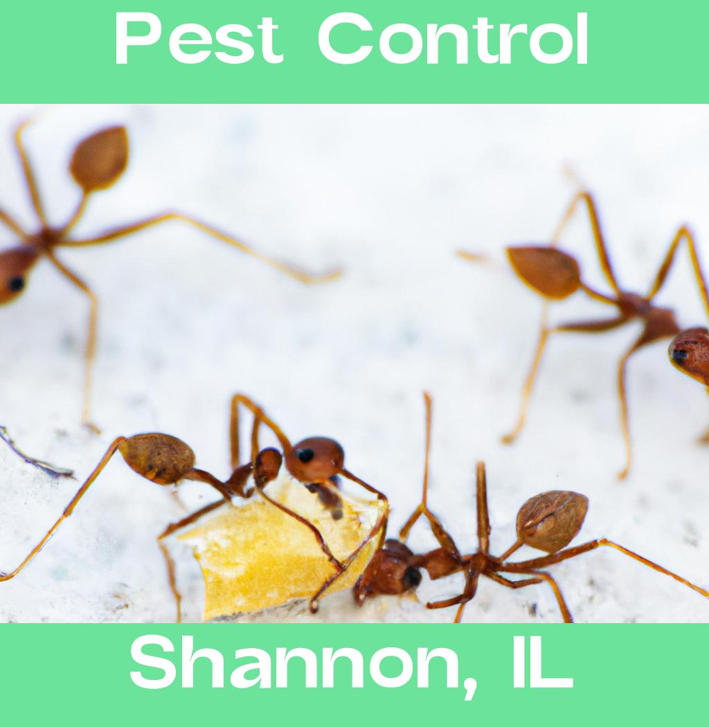 pest control in Shannon Illinois