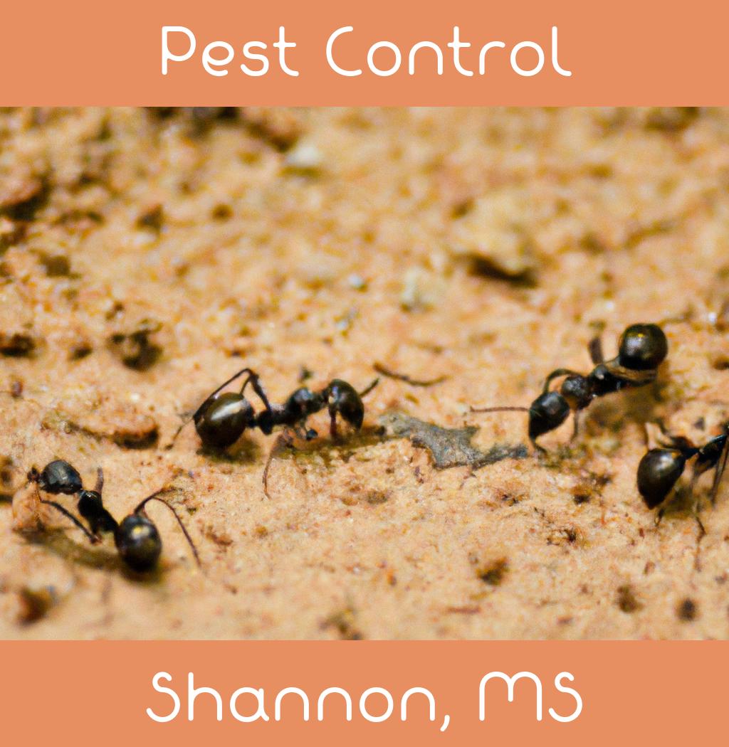 pest control in Shannon Mississippi
