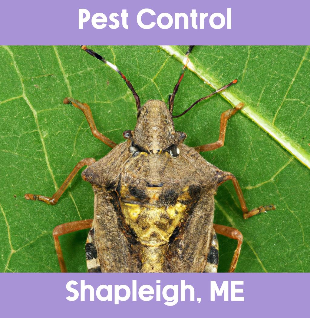 pest control in Shapleigh Maine