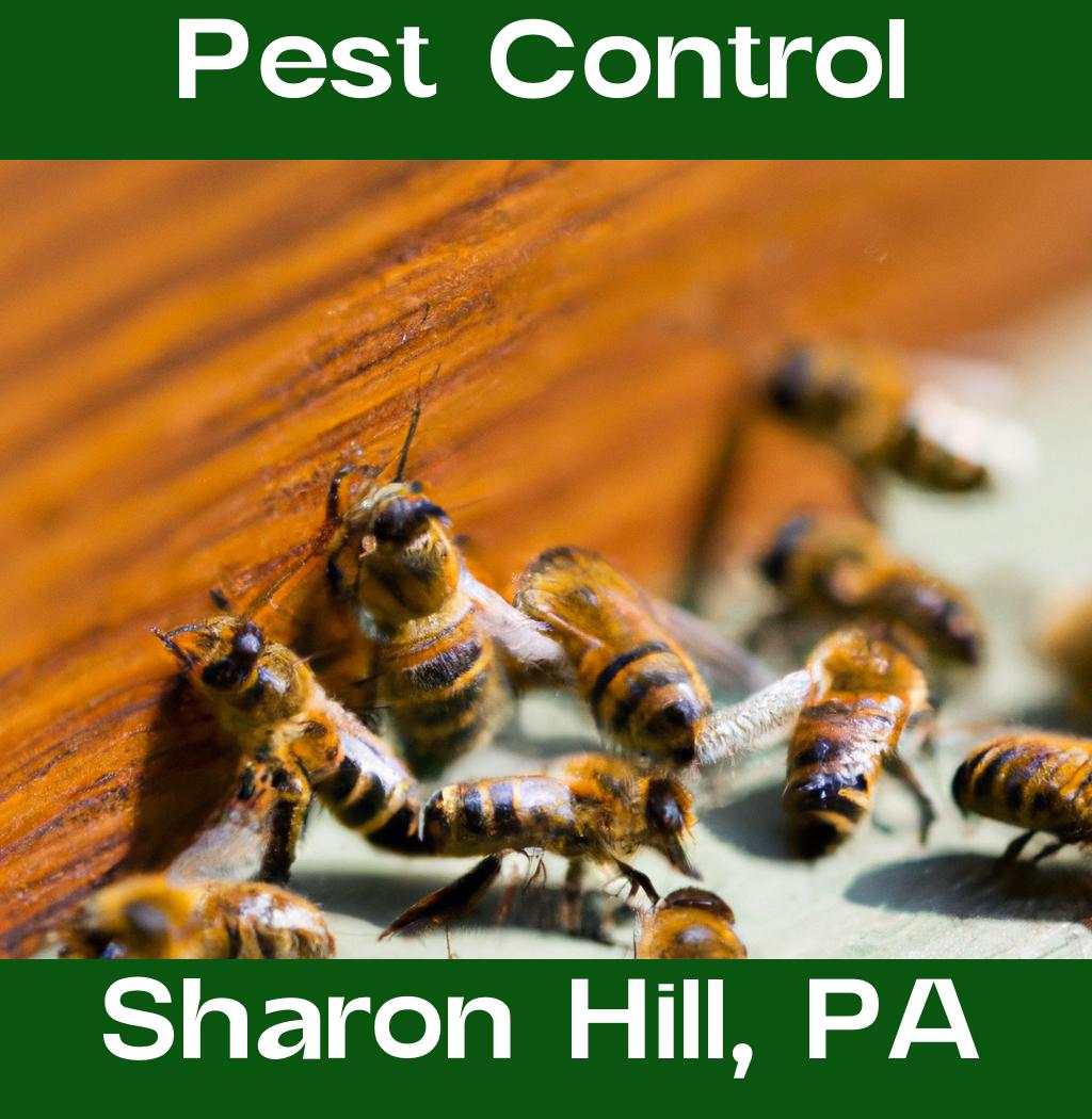 pest control in Sharon Hill Pennsylvania