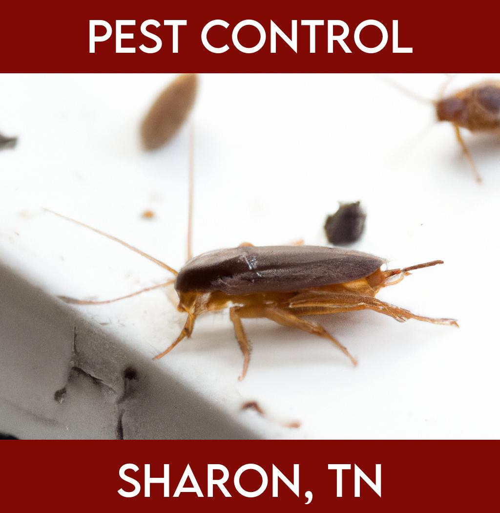 pest control in Sharon Tennessee