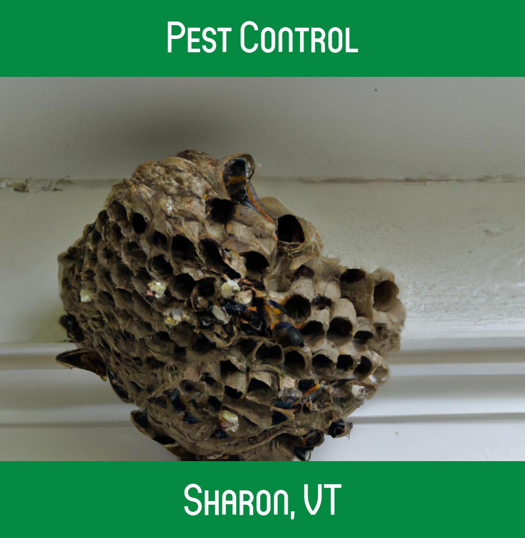 pest control in Sharon Vermont
