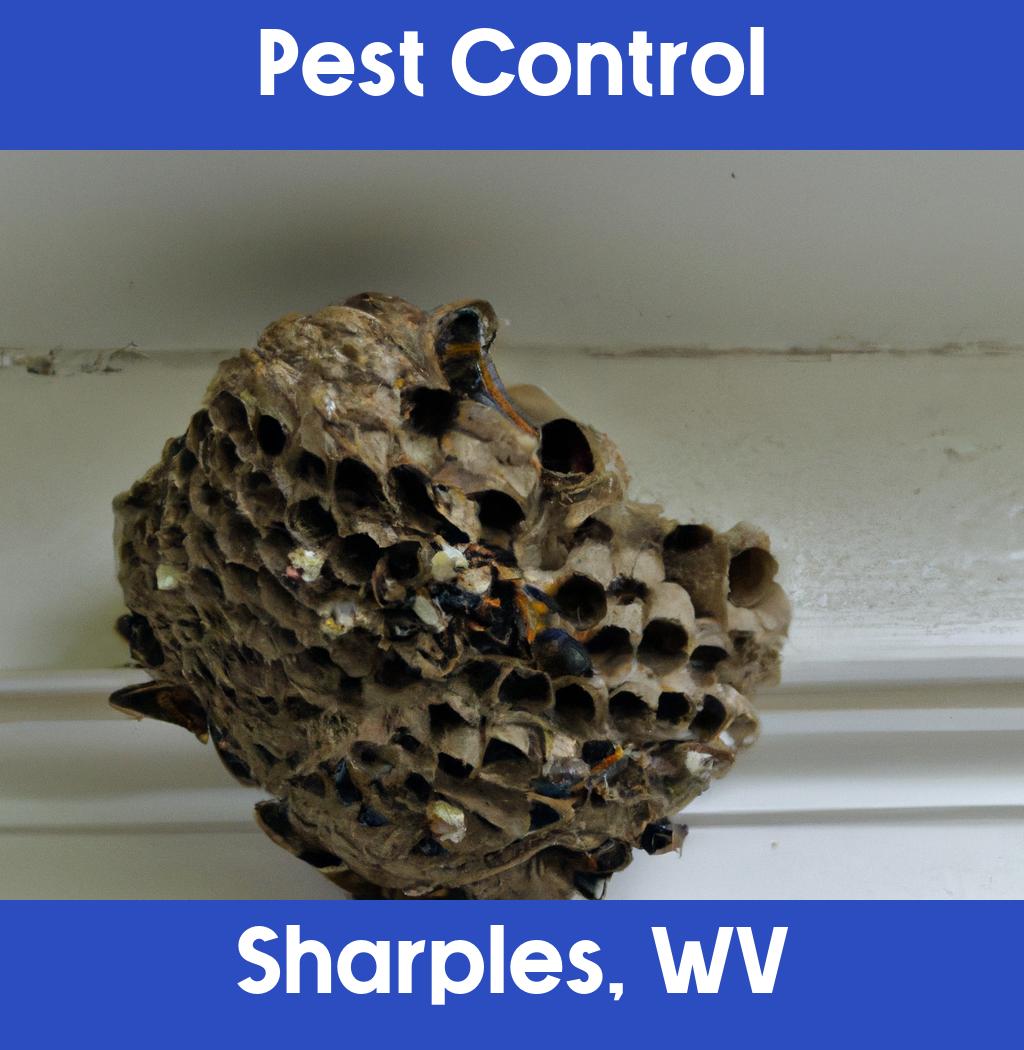 pest control in Sharples West Virginia