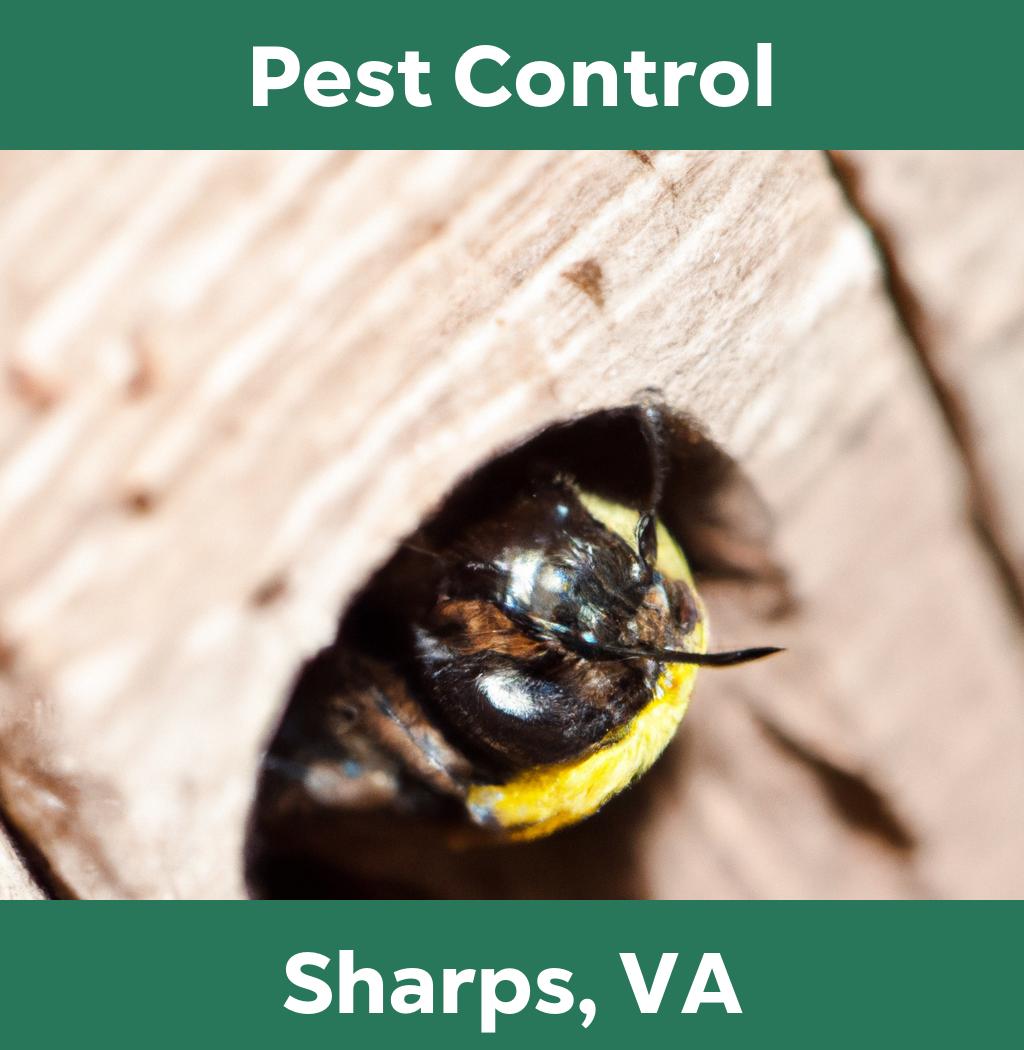 pest control in Sharps Virginia