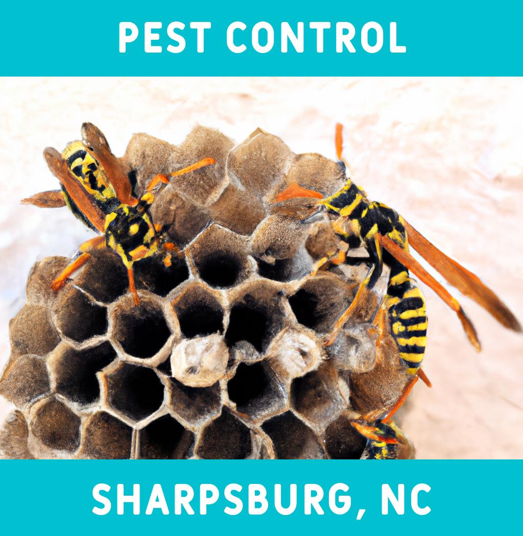 pest control in Sharpsburg North Carolina