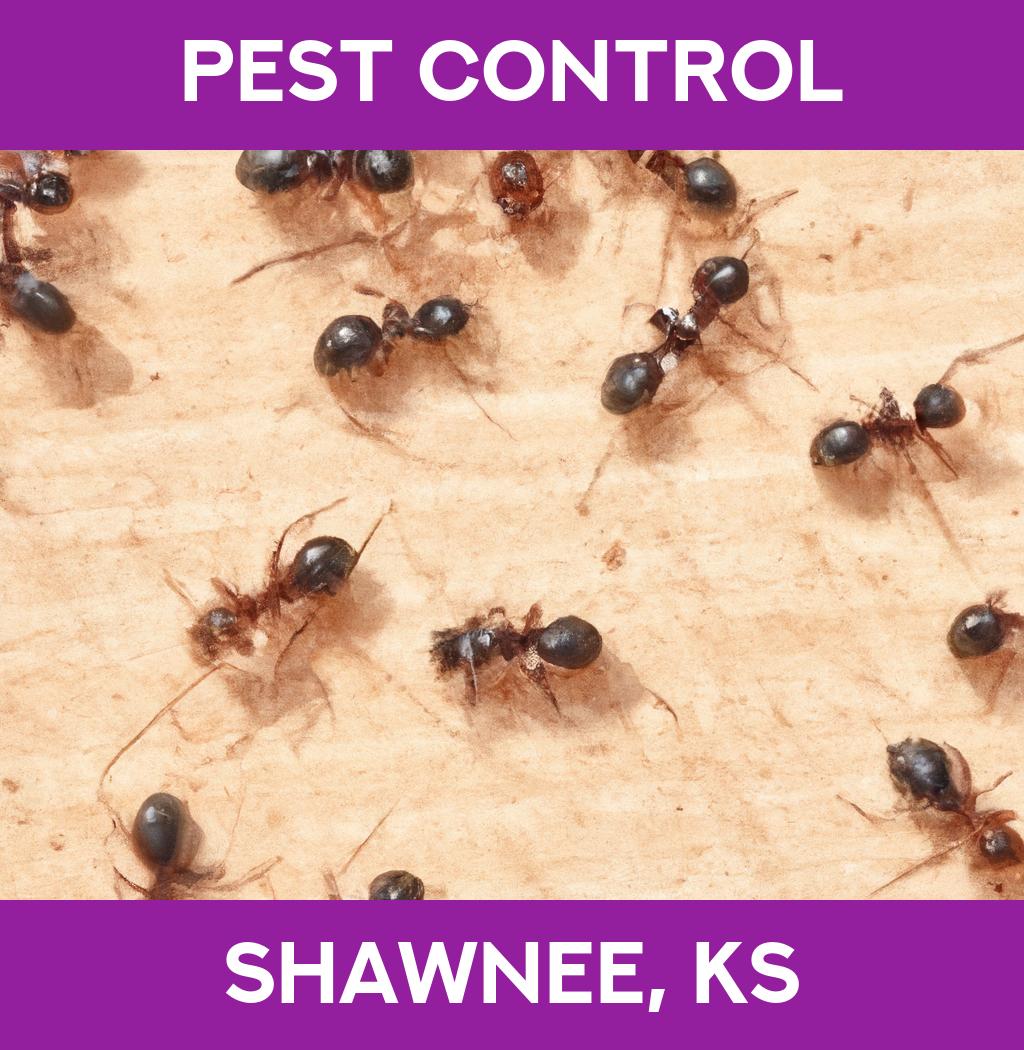 pest control in Shawnee Kansas