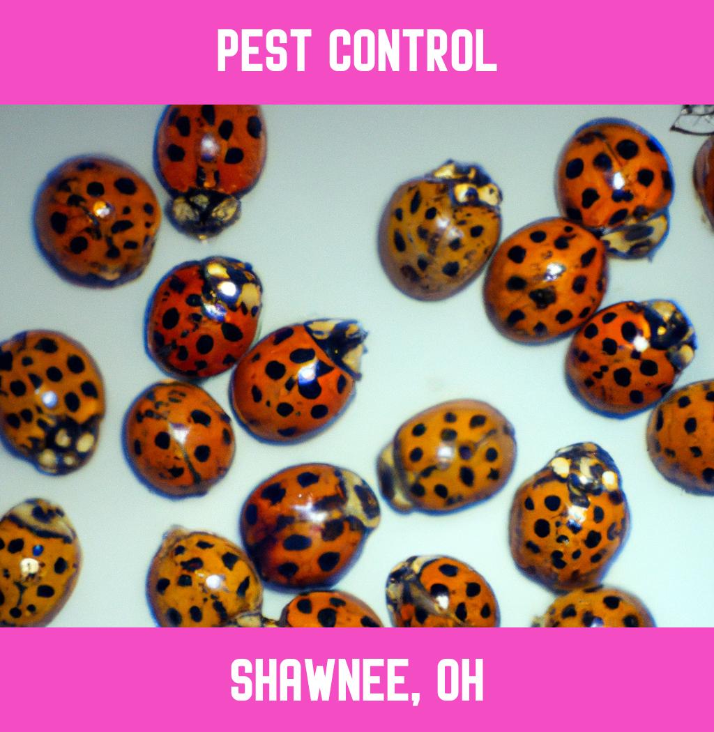 pest control in Shawnee Ohio