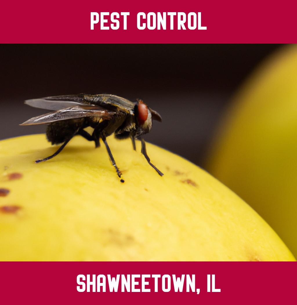 pest control in Shawneetown Illinois