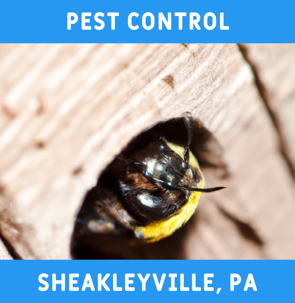 pest control in Sheakleyville Pennsylvania