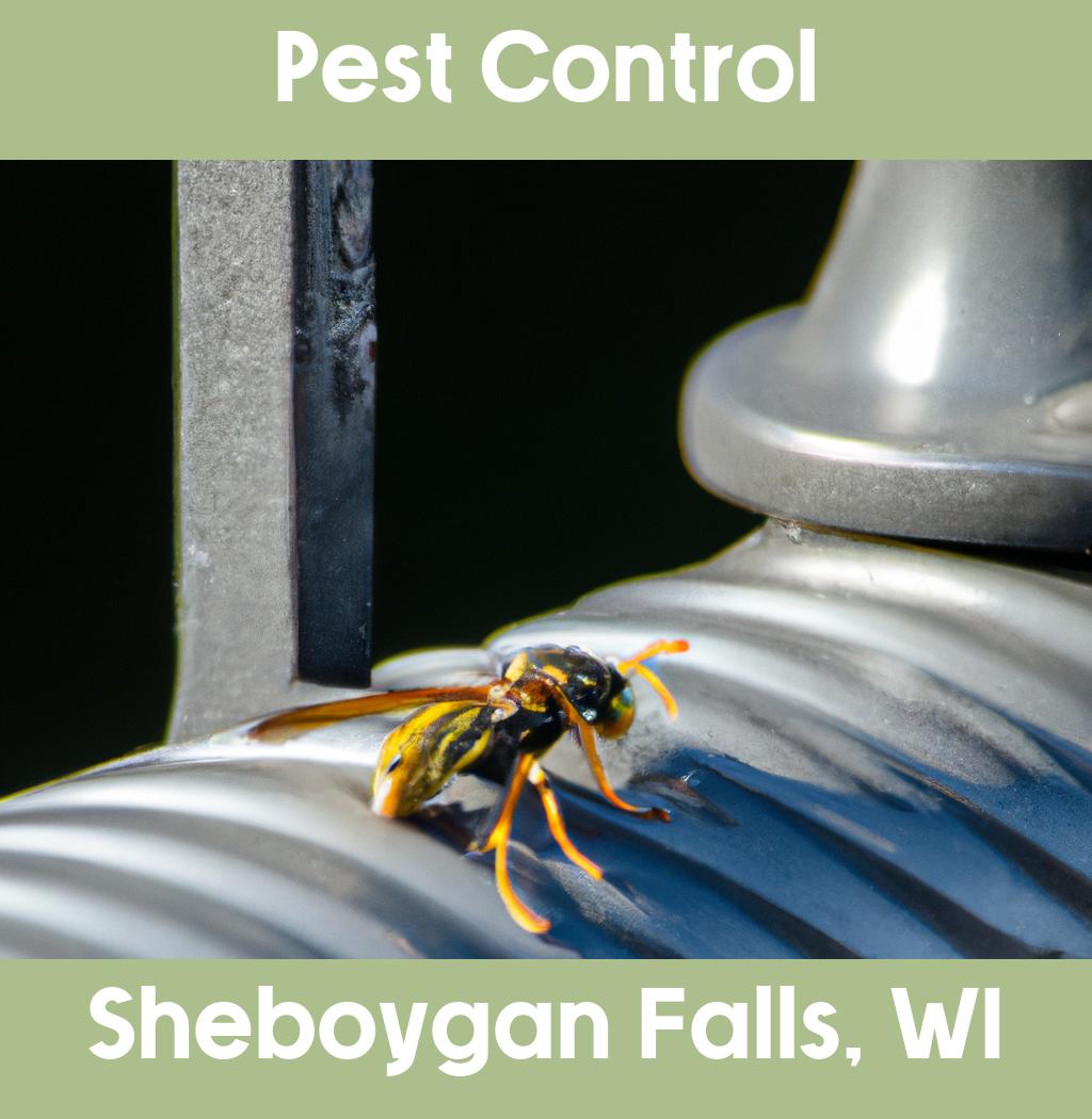 pest control in Sheboygan Falls Wisconsin