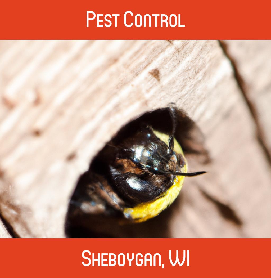 pest control in Sheboygan Wisconsin