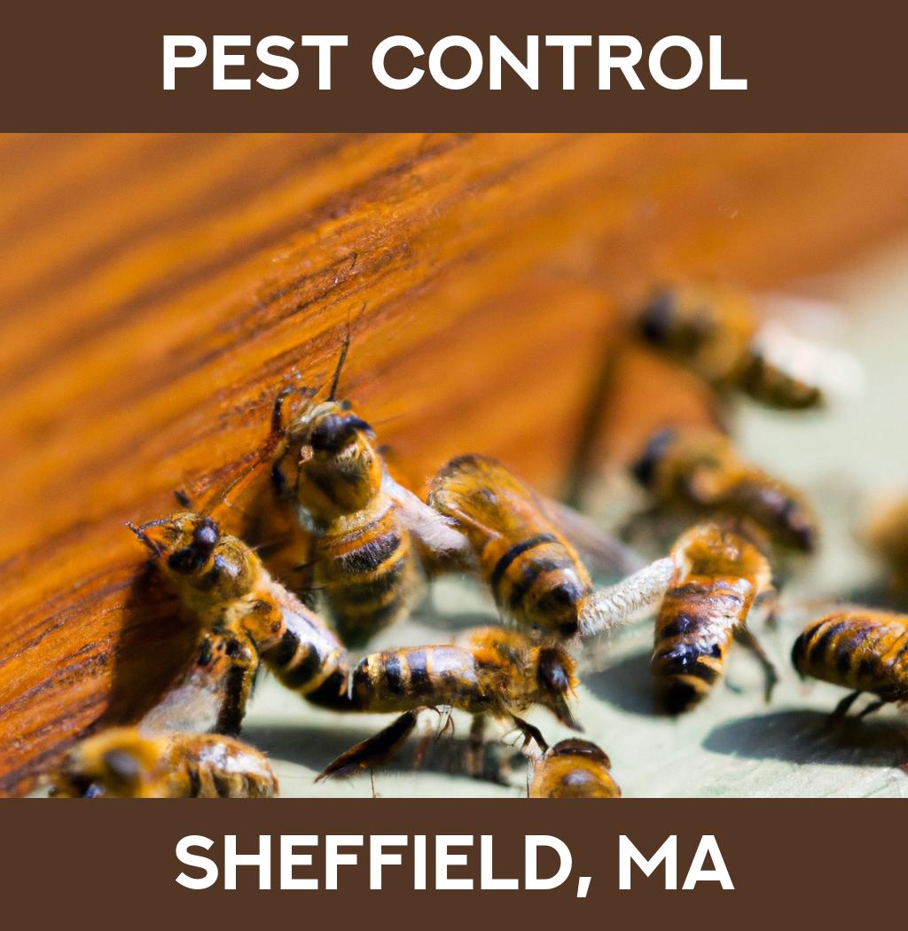 pest control in Sheffield Massachusetts