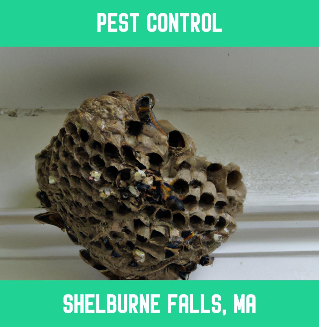 pest control in Shelburne Falls Massachusetts