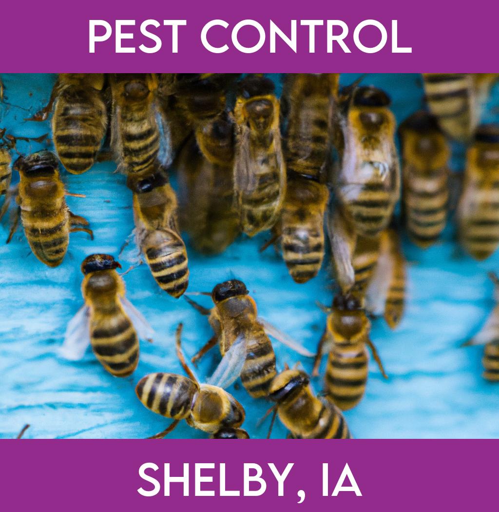 pest control in Shelby Iowa