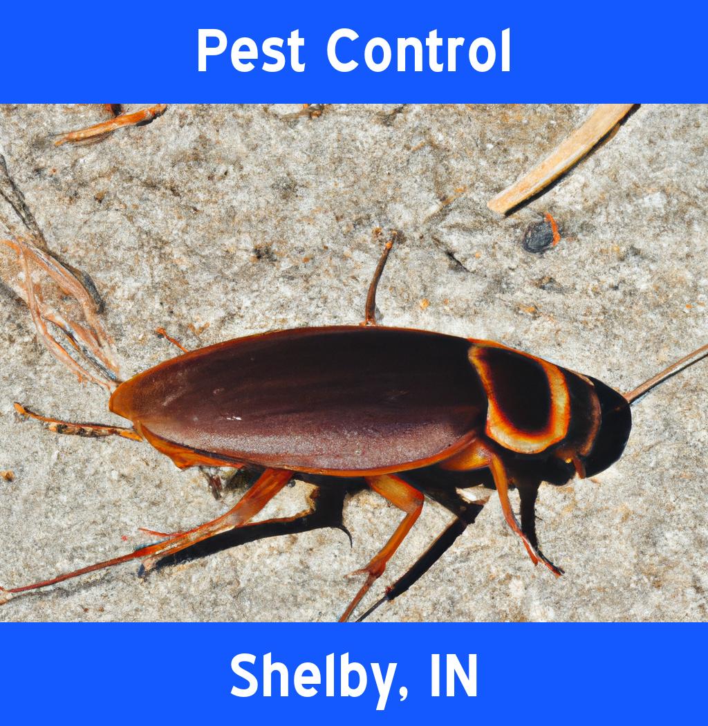 pest control in Shelby Indiana